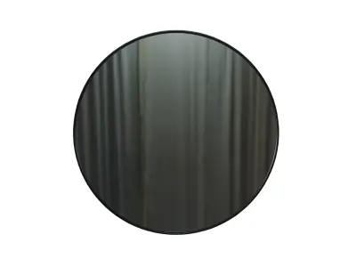 Mirror Moon - Modern Circular Wall Mirror with Metal Frame 3D model