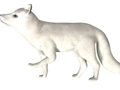 Arctic Fox Low-poly 3D model