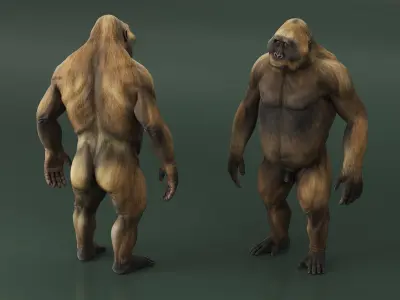 Big Ape Gigantopithecus in Standing Pose 3D model