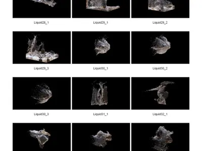Dosch 3D - Liquid Effects 3D model