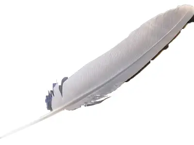 angel wings 3D model purchase