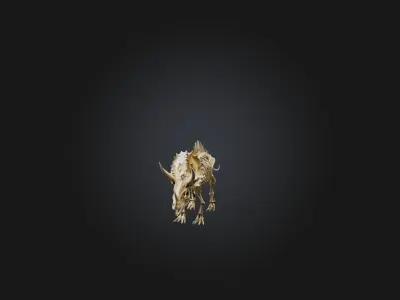 Realistic Triceratops Skeleton Model Low-poly 3D model
