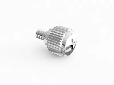 Screw 09 3D model