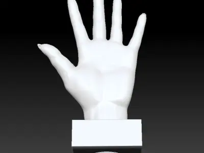 Woman hand 3D print model