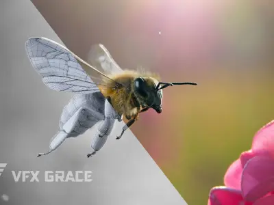 Honey bee Animated VFX Grace 3D model