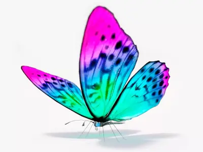 Butterfly rigged lowpoly Free low-poly 3D model