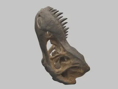 Old Damaged Stone Fossil Skull Trex Low-poly 3D model