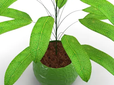 High detailed model of a plant with vase 3D model