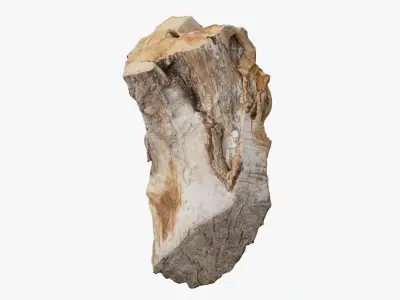 Scanned Trimmed Tree Wood 12 3D model
