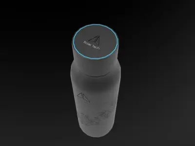Water bottle Low-poly 3D model purchase