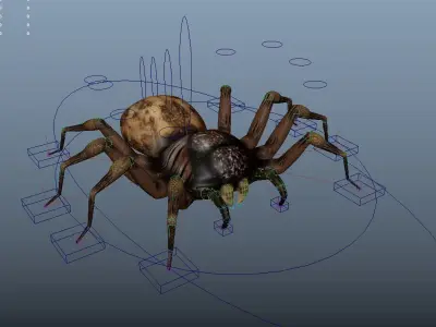 Spider Rigged Low-poly 3D model purchase