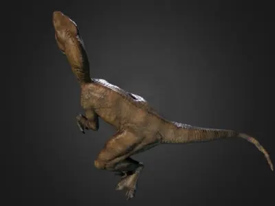 Raptor Photogrammetry Free 3D model