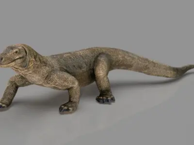 Komodo dragon Low-poly 3D model