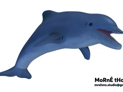 Dolphin Free 3D model buy