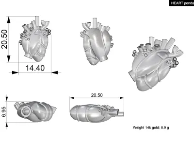 Heart human gold 3D print model