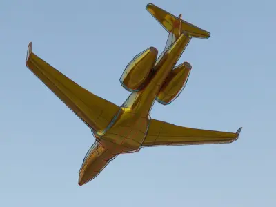 private jet high detailed low poly count 3d model  Low-poly 3D model