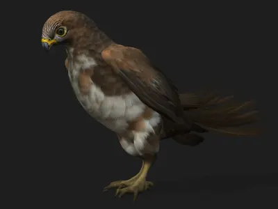 Kestrel B3 3D model
