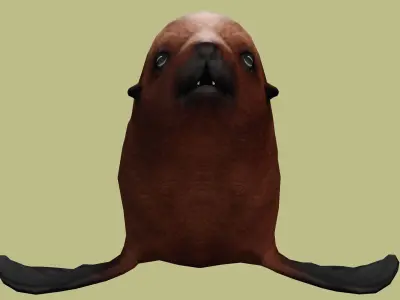 SEAL RIGGED ANIMATED 3 Low-poly 3D model