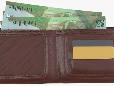 Cayman Islands British 5 Dollar Wallet Money Purse 3D model