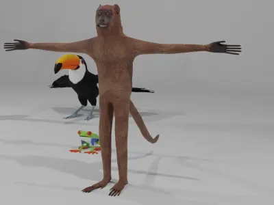 Rainforest Animals 3D model