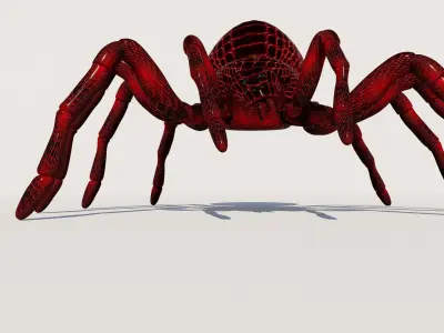 imazing spider Low-poly 3D model