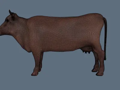 Cow Model 3D model purchase