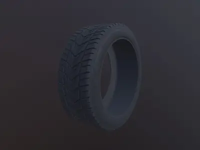 Tire Model and 4K Texture no Symmetry protector 3D model