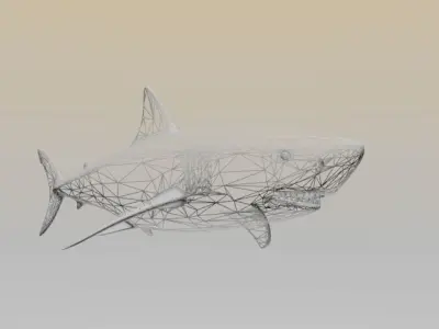 SHARK LOW PLOY 3D model