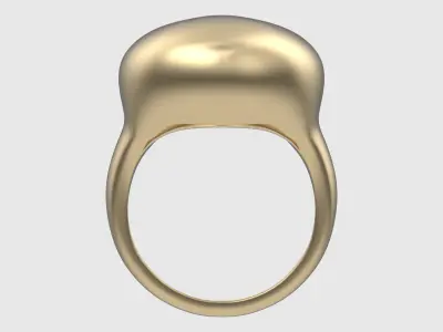 Signet Training Ring JDBCo 3D print model purchase