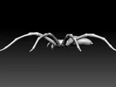 Fishing Spider Low-poly 3D model