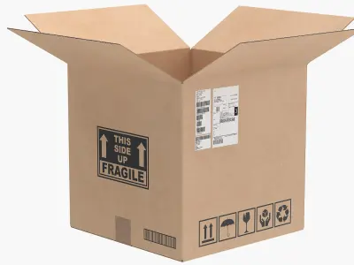 Open Cardboard Box Collection(1) 3D model