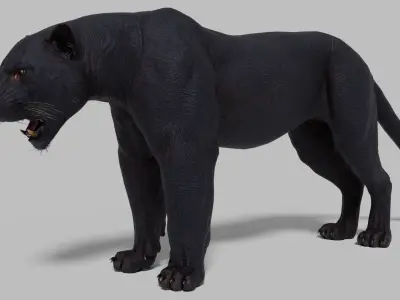 Black Panther Rigged Low-poly 3D model