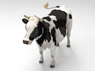 White Cow - Rigged - Animated Low-poly 3D model