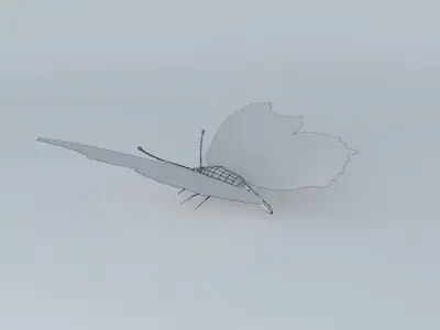Butterfly peacock Free 3D model