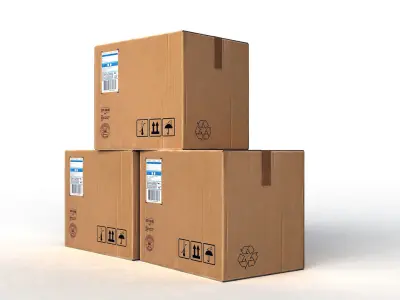 Cardboard Package Box Low-poly 3D model