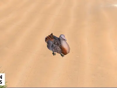 African animals - pack Low-poly 3D model