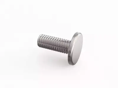 Screw 81 3D model