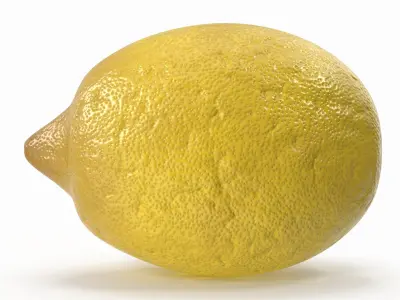 Lemon  purchase 3D model