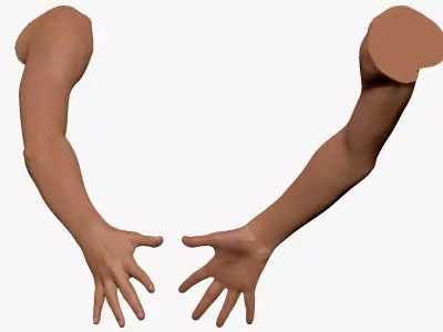 001294 hand of woman all fingers are opened low poly Low-poly 3D model