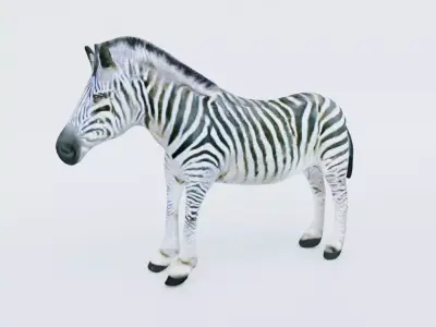 Zebra Free 3D model purchase