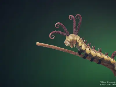 Caterpillar Brahmin moth 3D model  3D model