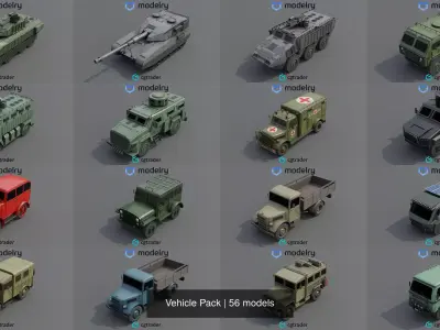 Vehicle Pack purchase