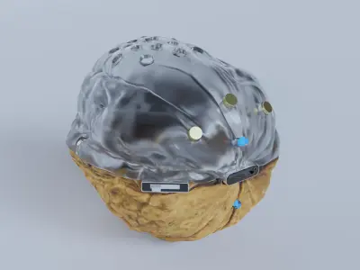 Walnut Speaker Design 3D model