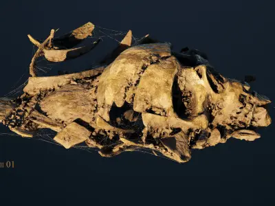 Broken Skulls with Spiderwebs and Cobwebs for Unreal Engine 5 3D model