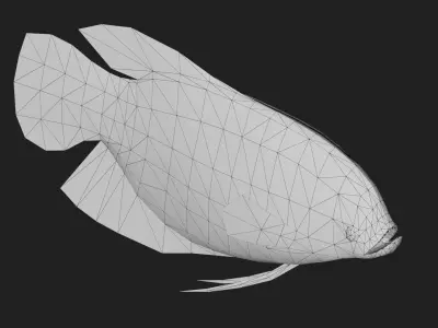 Ashtongourami Low-poly 3D model