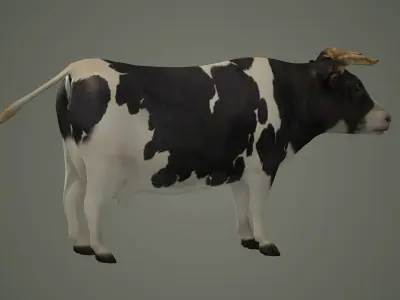 bull animal domestic game lowpoly cow animals 3D model