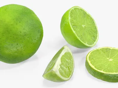 Lime Collection 3D model