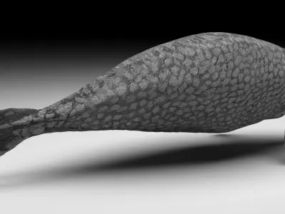 Sea Cow 3D model