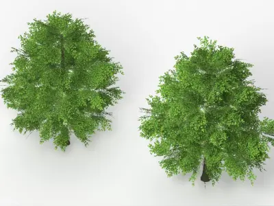 Realistic Lowpoly Beech Woodland Tree Green 3D model