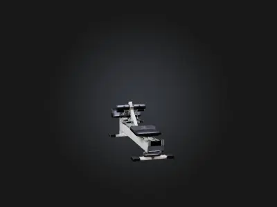 Abdominal Machine Low-poly 3D model